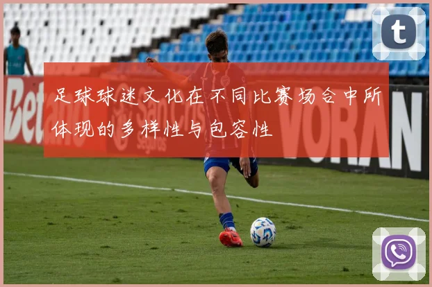 足球球迷文化在不同比赛场合中所体现的多样性与包容性
