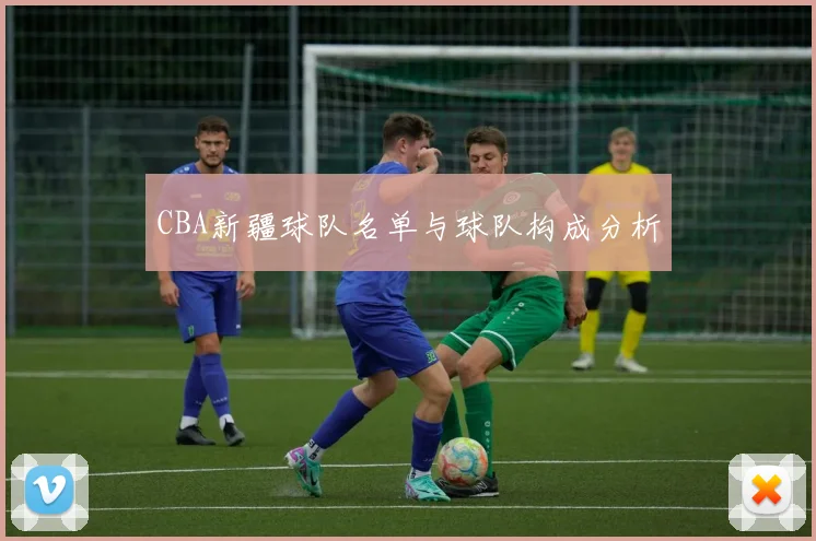 CBA新疆球队名单与球队构成分析