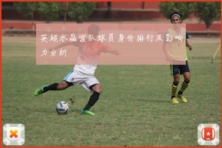 英超水晶宫队球员身价排行及影响力分析