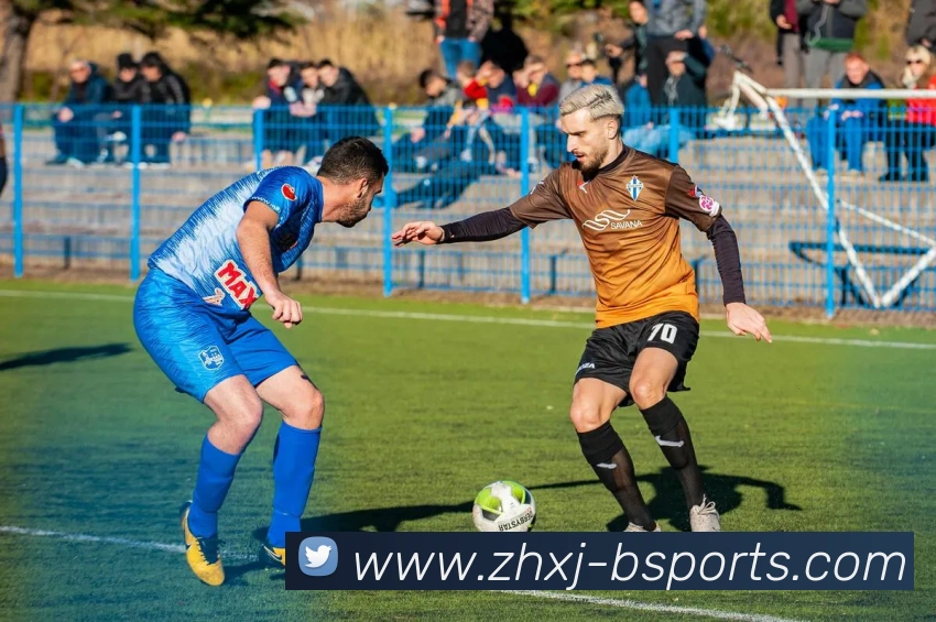 B体育Bsports平台生态图