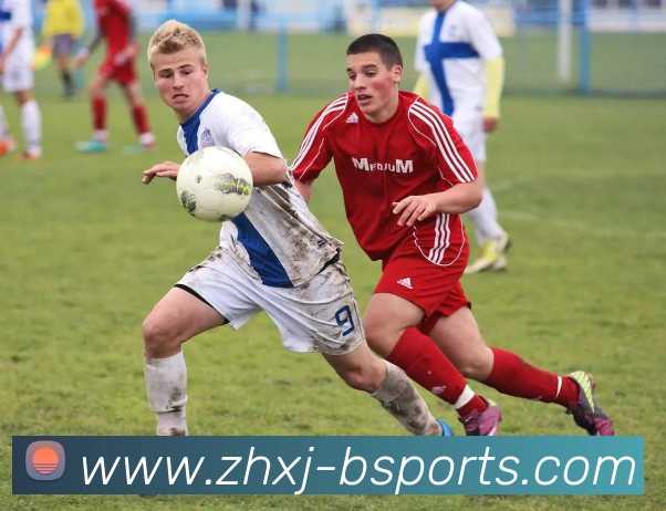 B体育BsportsAPP 封面图